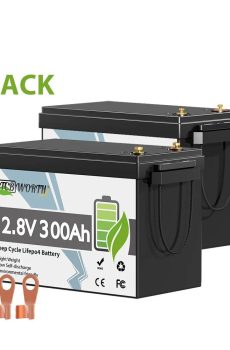 12V 300Ah LiFePO4 Lithium Battery with Smart 200A BMS